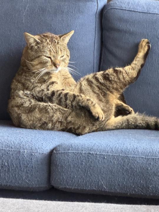 Kristoffer Refstrup Rasmussen