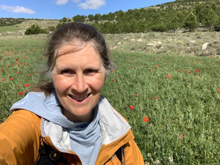 Connie Marchek