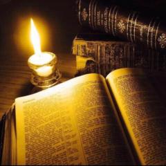 Hebatullah Mahmoud Alhamwi