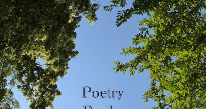 Poetry Books by David Fairley