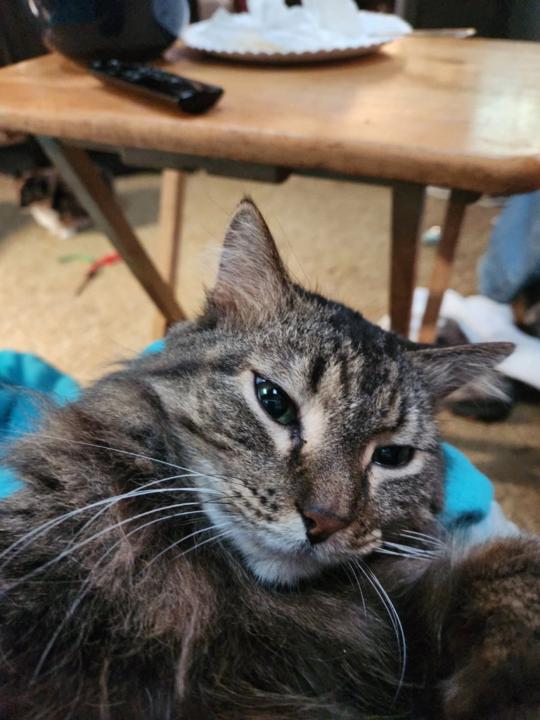 Barbara Kelling Babe