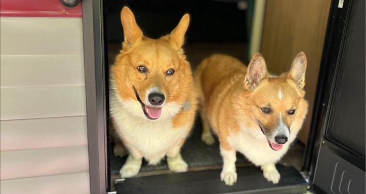 Hagen's Illustrations