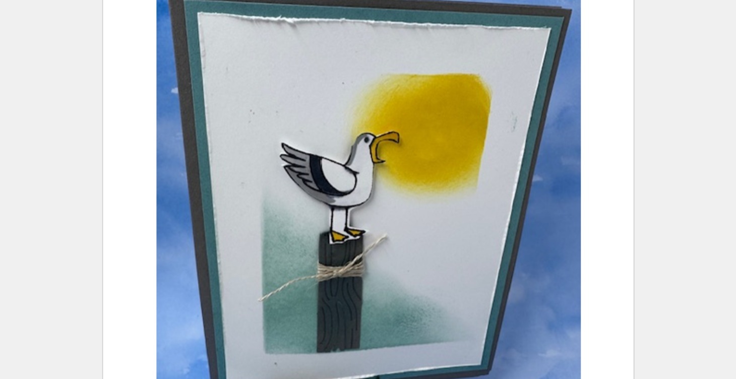 Friendly Seagulls - Pilling