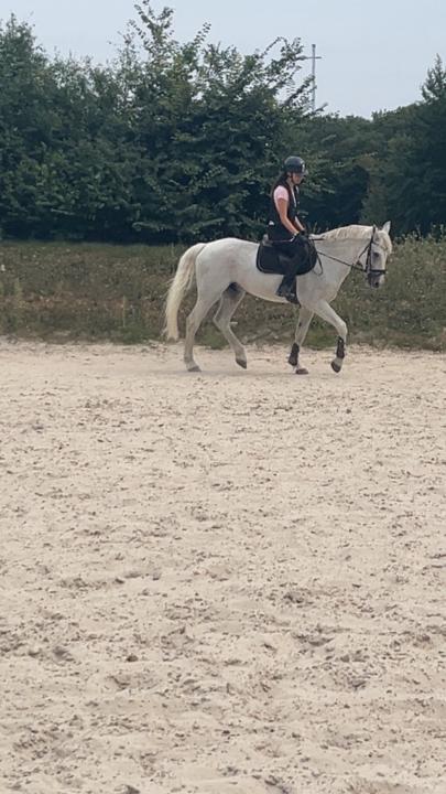 Inès Atigui houassine
