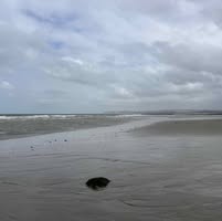 Fabienne Dauvillaire