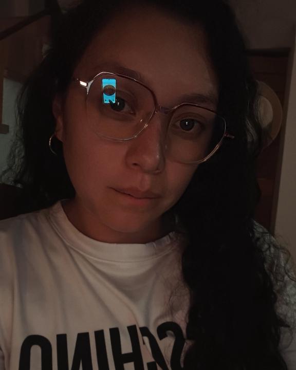 Diana Milena ladino Rodríguez