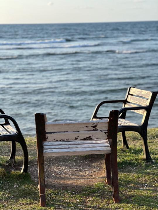 Sokaina Ali El-Salih