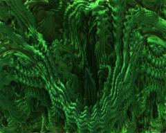 Alexandra Straszewska