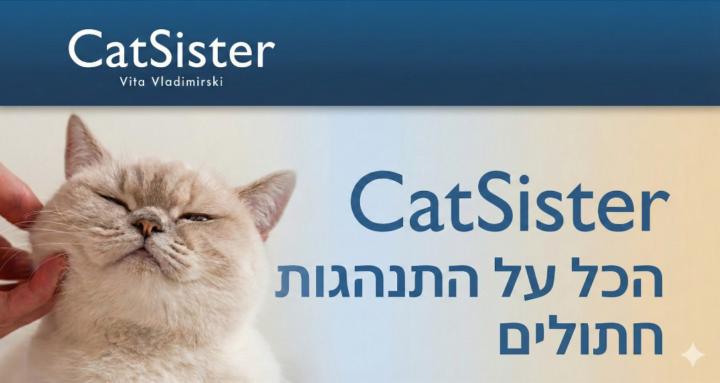 Cat Sister ‏Community