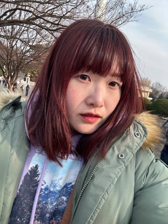 妍菲 林