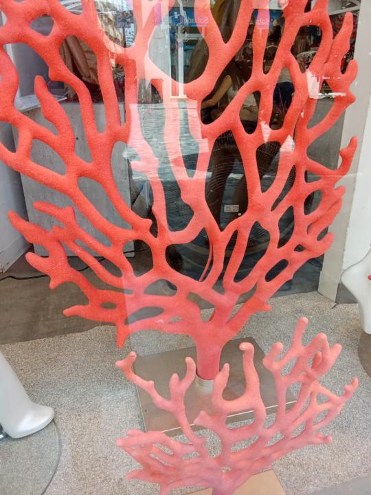 María Jesús Galindo Bollaín.