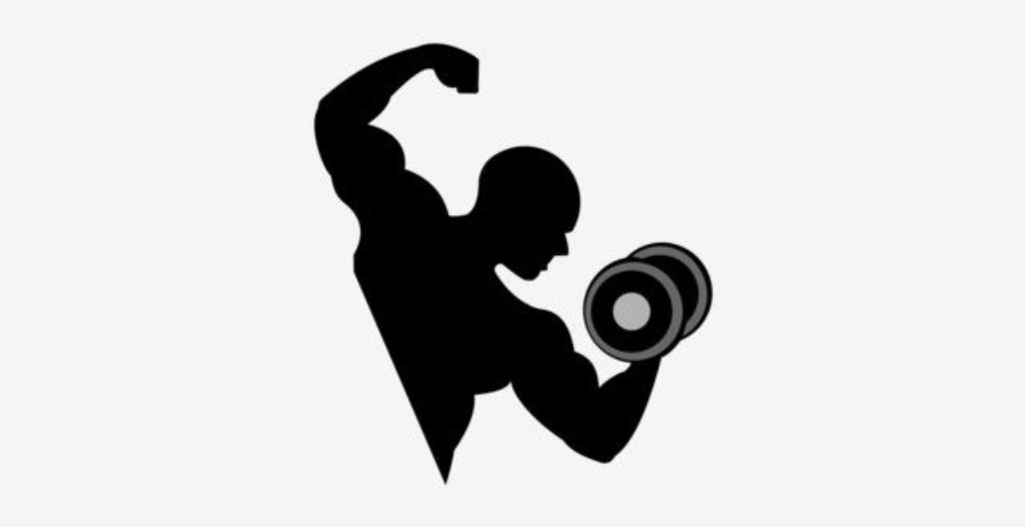 🍽️ Custom Meal Plans