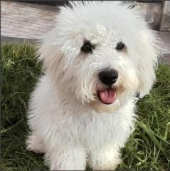 Wilmer Paul Azogue Gavilanes