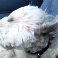 jimmiJames jimmiJames