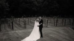 Tim Sands