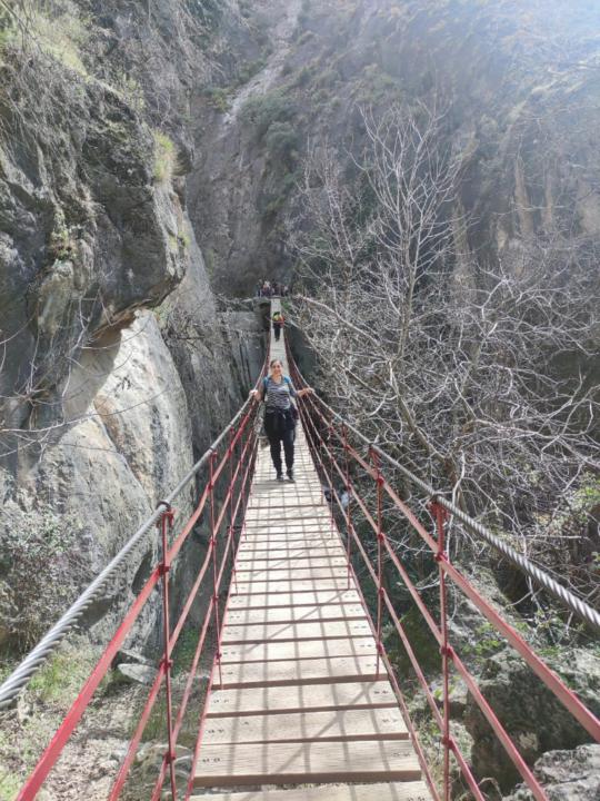 Ximena Rivera Carrasco