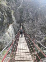 Ximena Rivera Carrasco