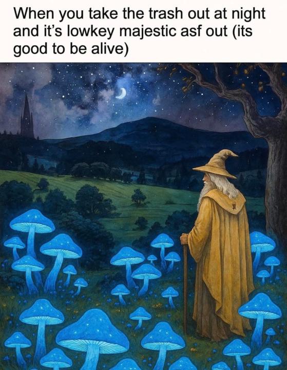 meme delivery