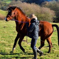 Samantha Sullivan-Hall