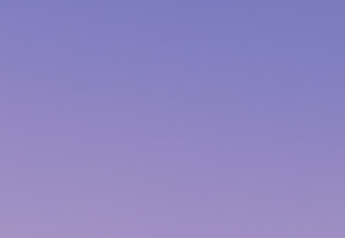 D O