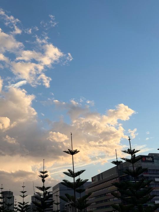 Ariunkhur Tumen-Ulzii