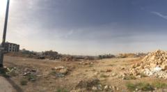 مروان الهذلي