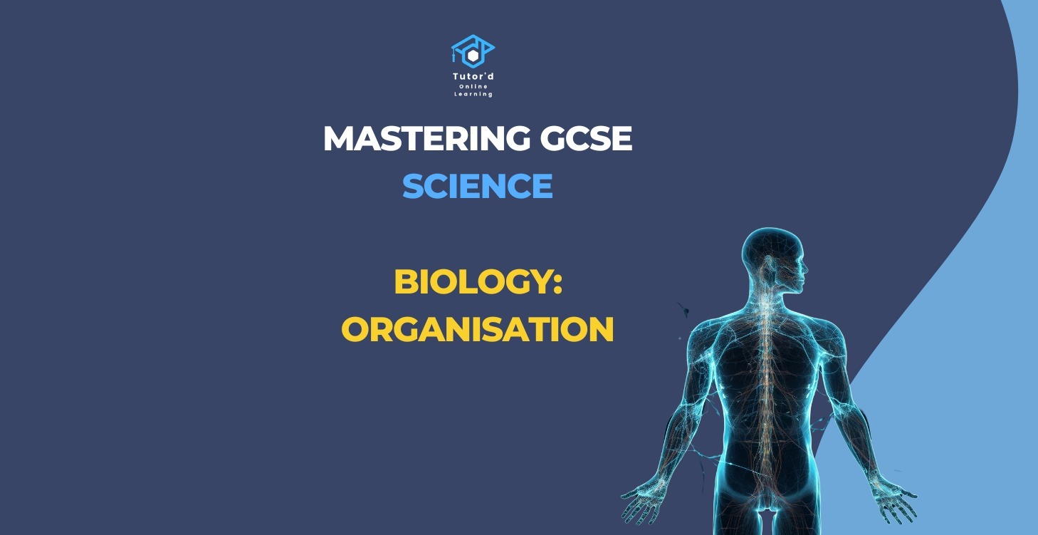 GCSE Biology - Organisation
