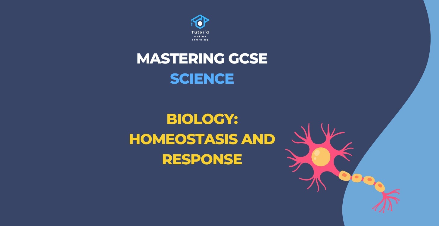 GCSE Biology - Homeostasis and response