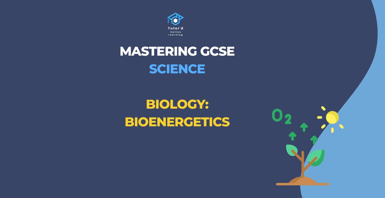 GCSE Biology - Bioenergetics