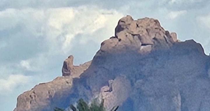 AI Results - Not Recipes