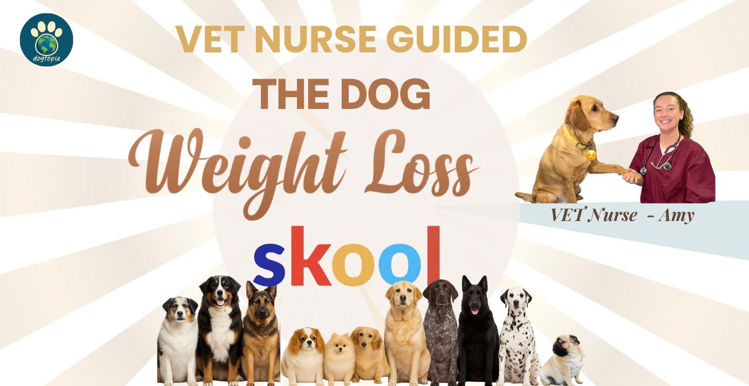 Dog Weight Loss Skool