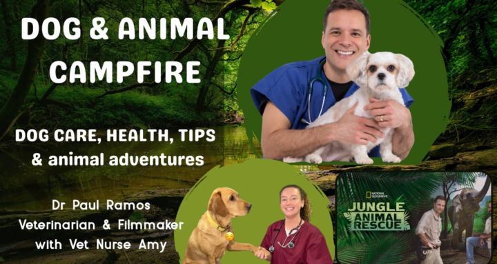 Dog & Animal Campfire