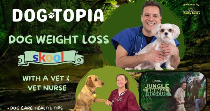 Dogtopia