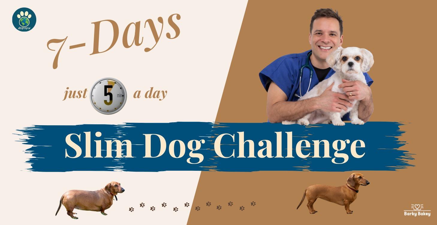 Slim Dog Challenge "Is my dog fat?": 7-Day Reset