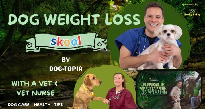 Dogtopia