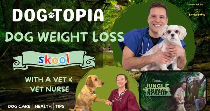 Dogtopia