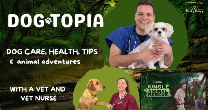 Dogtopia