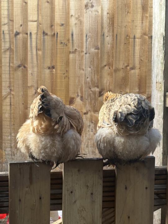 Favourite photo of the week ❤️