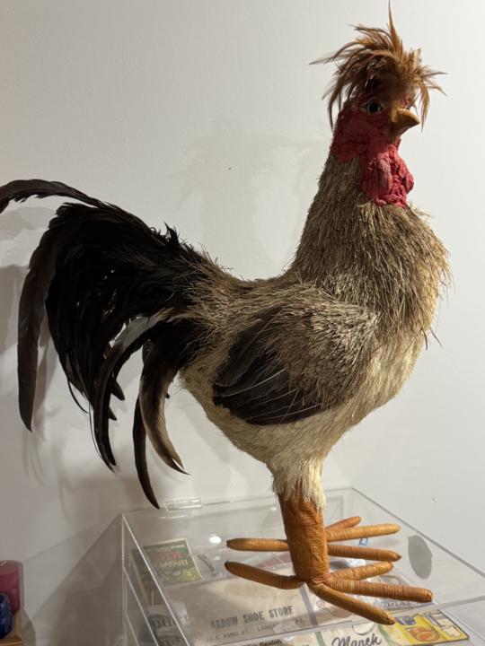 Sharing my awesome thrift store find today!