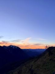 Guilherme Almeida Costa