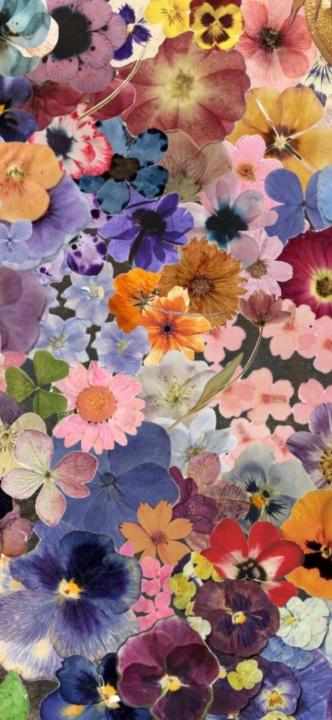 Polly Price