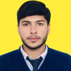 Muhammad Awais Ali
