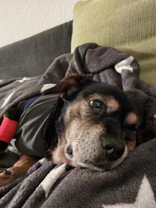 💕 Help needed 💕