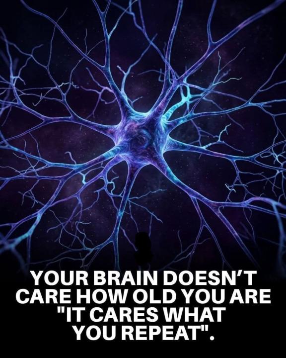 Greetings from your brain...