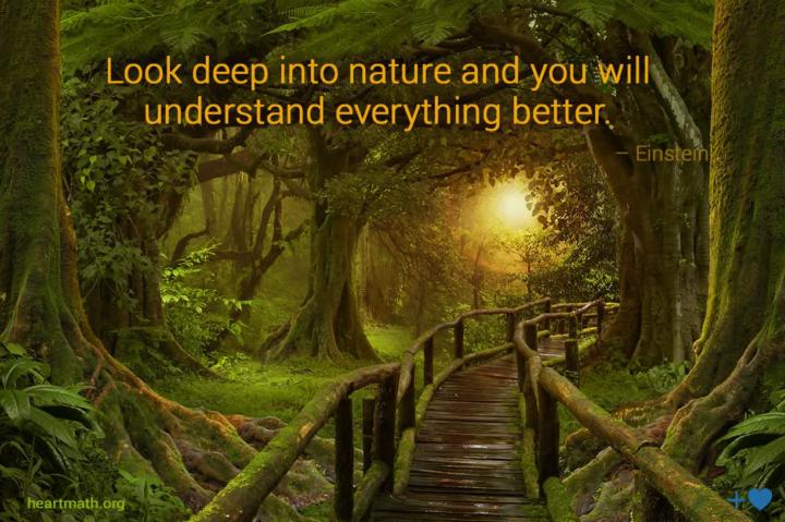 HeartMath: about nature. 