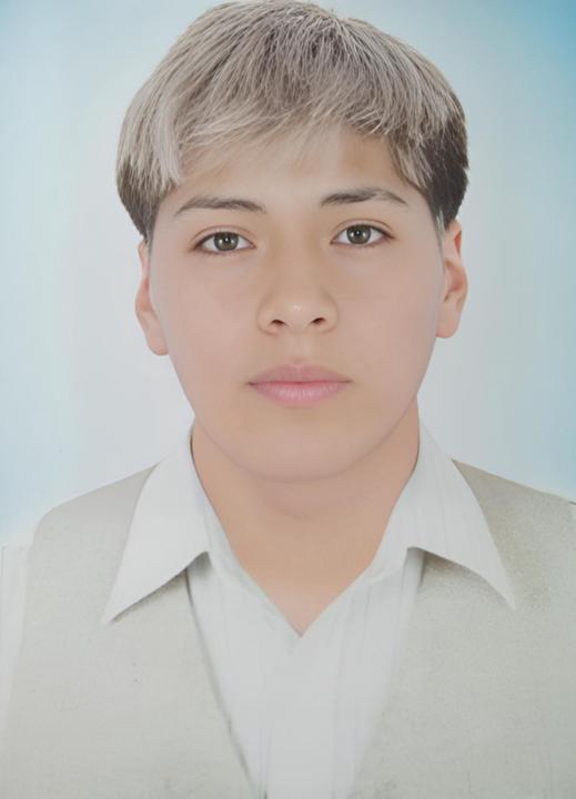 David Quispe Olarte
