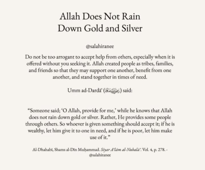 Tasneem Badar