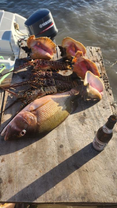 Spear Fishing in San Pedro 🐟🎏