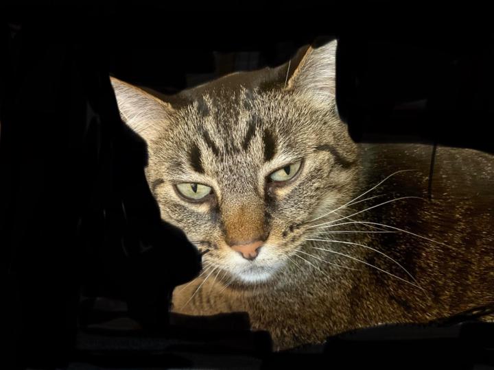 Yauheniya Hochhalter