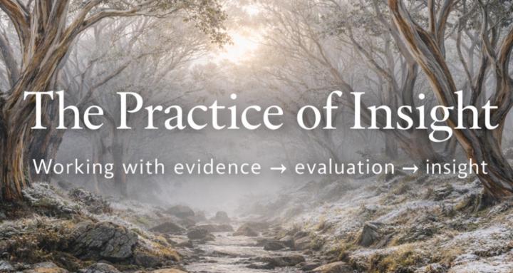 The Practice of Insight
